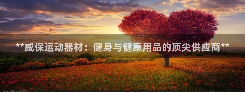 意昂3集团logo：**威保运动器材：健身与健康用品