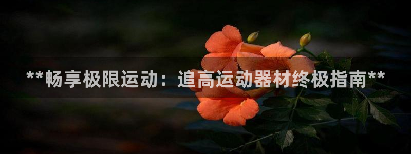 意昂3集团E.ON：**畅享极限运动：追高运动器材终