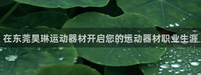 意昂体育3平台是正规平台吗：在东莞昊琳运动器材开启您