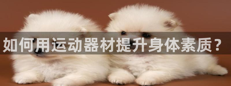 意昂3集团简介：如何用运动器材提升身体素质？