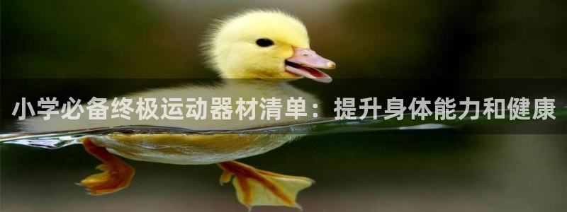 意昂3集团简介：小学必备终极运动器材清单：提升身体能