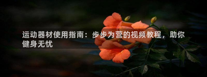 意昂3娱乐下载：运动器材使用指南：步步为营的视频教程