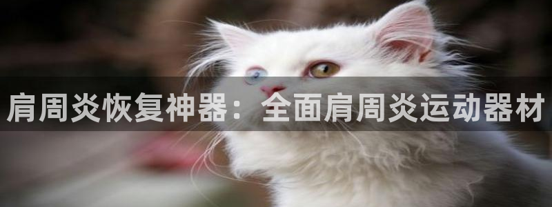 意昂体育3软件：肩周炎恢复神器：全面肩周炎运动器材