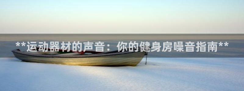 意昂3五金厂：**运动器材的声音：你的健身房噪音指南