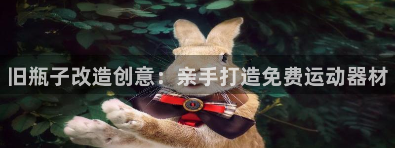 意昂体育3平台是正规平台吗安全吗：旧瓶子改造创意：亲