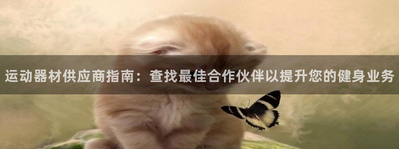 意昂体育3招商：运动器材供应商指南：查找最佳合作伙伴