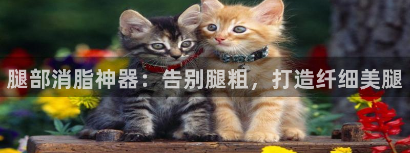 意昂体育3平台APP：腿部消脂神器：告别腿粗，打造纤