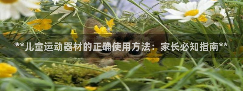 意昂体育3招商电话号码查询是多少：**儿童运动器材的