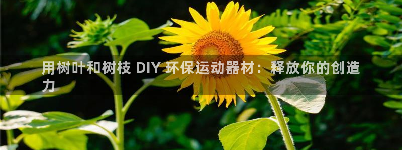 海南意昂体育3发展怎么样：用树叶和树枝 DIY 环保