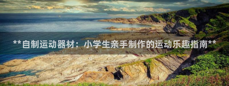 意昂3开户：**自制运动器材：小学生亲手制作的运动乐