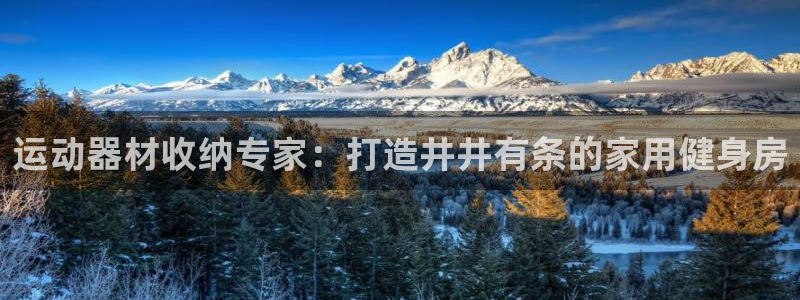 意昂体育3开户：运动器材收纳专家：打造井井有条的家用
