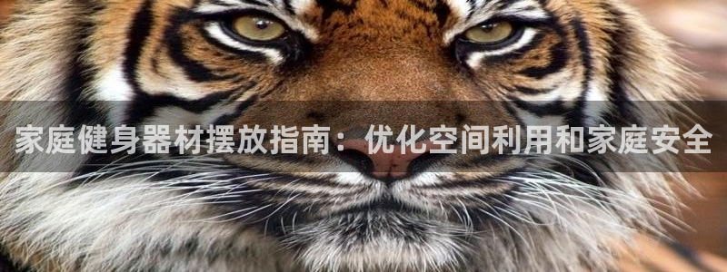 意昂3娱乐网站：家庭健身器材摆放指南：优化空间利用和