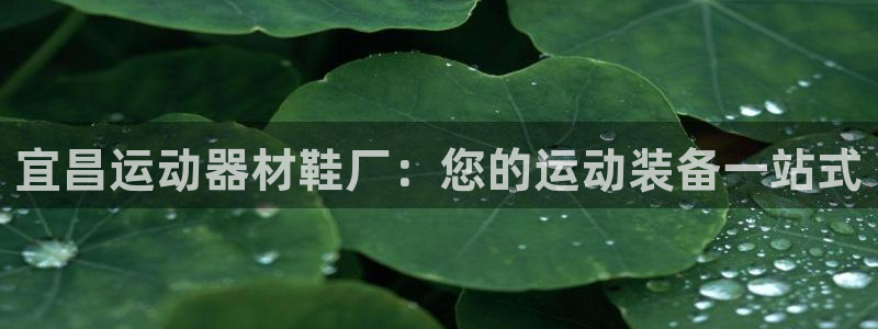 意昂体育3平台注册要钱吗安全吗：宜昌运动器材鞋厂：您