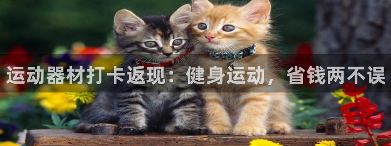 意昂3娱乐下载：运动器材打卡返现：健身运动，省钱两不