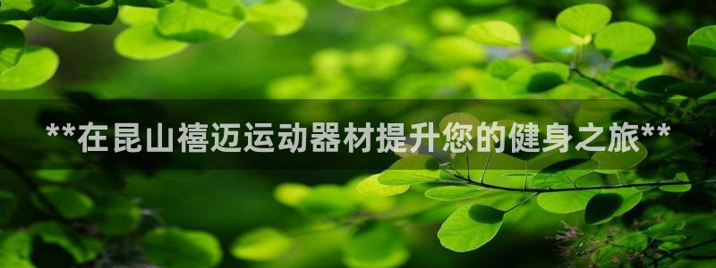 意昂体育3平台假的吗是真的吗吗：**在昆山禧迈运动器