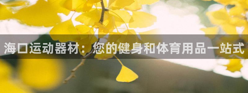 意昂体育3平台：海口运动器材：您的健身和体育用品一站