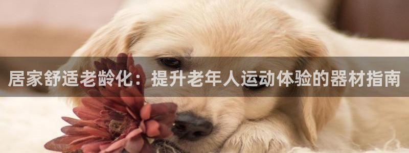 意昂体育3娱乐：居家舒适老龄化：提升老年人运动体验的