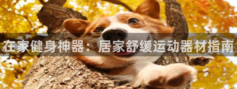 意昂3娱乐首页网站大全：在家健身神器：居家舒缓运动器