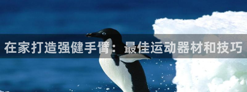 意昂3娱乐下载：在家打造强健手臂：最佳运动器材和技巧