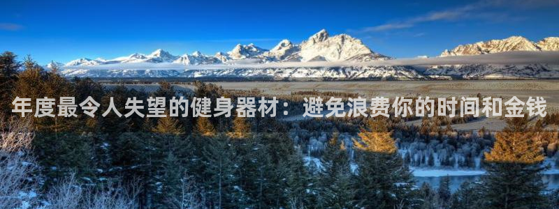 意昂3集团E.ON：年度最令人失望的健身器材：避免浪