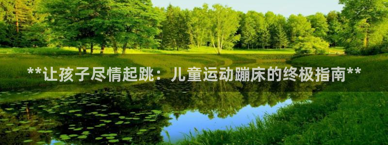 意昂3新能源：**让孩子尽情起跳：儿童运动蹦床的终极