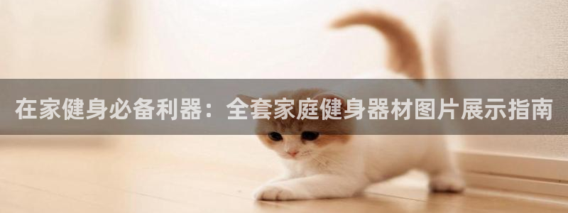 注册意昂3：在家健身必备利器：全套家庭健身器材图片展