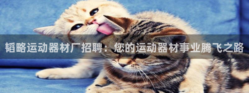 意昂3神州：韬略运动器材厂招聘：您的运动器材事业腾飞