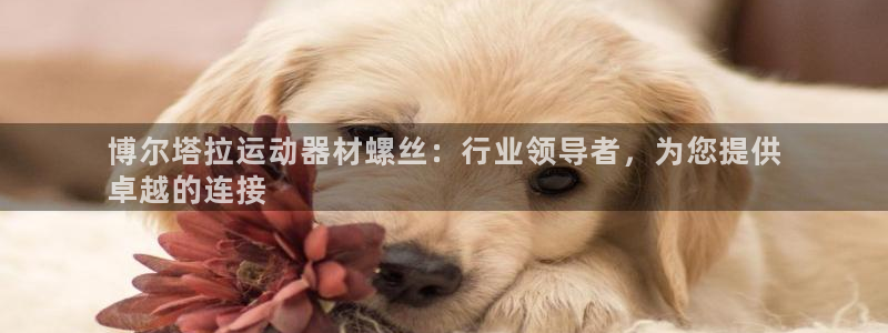 意昂体育3招商电话是多少号码：博尔塔拉运动器材螺丝：