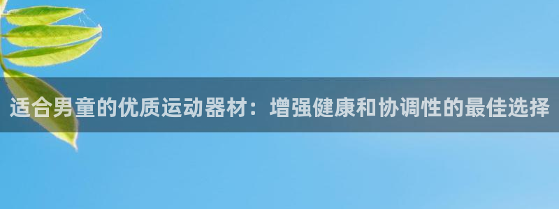 意昂3官方：适合男童的优质运动器材：增强健康和协调性