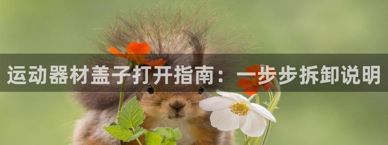 意昂3娱乐40996：运动器材盖子打开指南：一步步拆卸说明