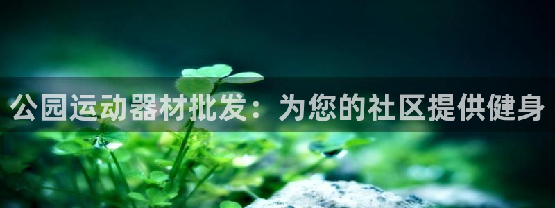 意昂3代理：公园运动器材批发：为您的社区提供健身