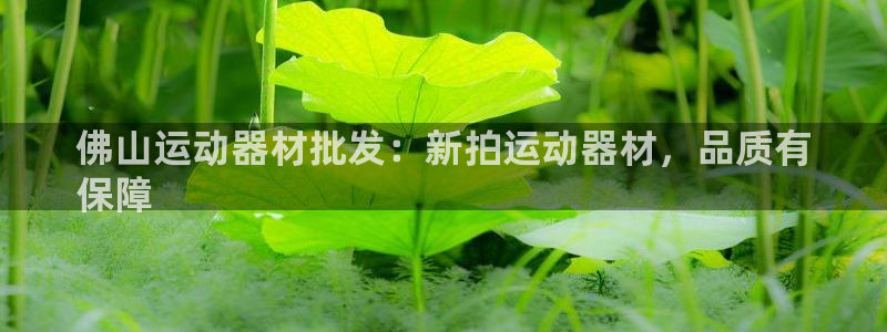 意昂体育3平台注册要钱吗是真的吗：佛山运动器材批发：
