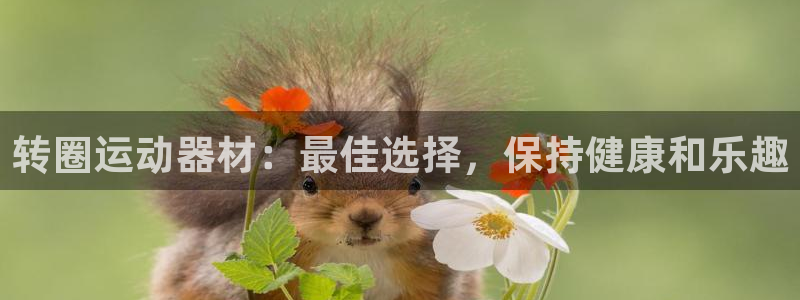 意昂体育3平台是正规平台吗安全吗：转圈运动器材：最佳