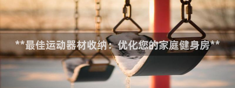 意昂3集团logo：**最佳运动器材收纳：优化您的家