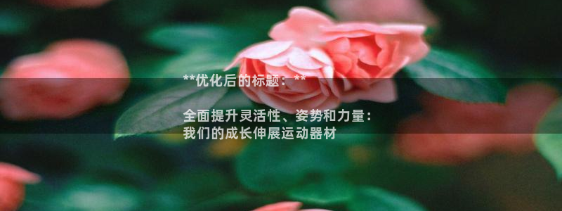 意昂3官方：**优化后的标题：**

全面提升灵活性