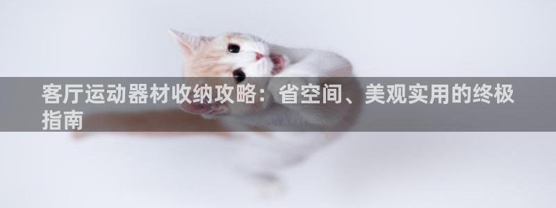 意昂3娱乐40996：客厅运动器材收纳攻略：省空间、