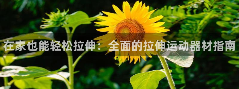意昂体育3招商电话地址：在家也能轻松拉伸：全面的拉伸
