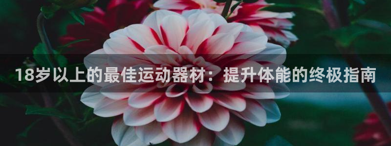 意昂3娱乐是那个系列的台子：18岁以上的最佳运动器材