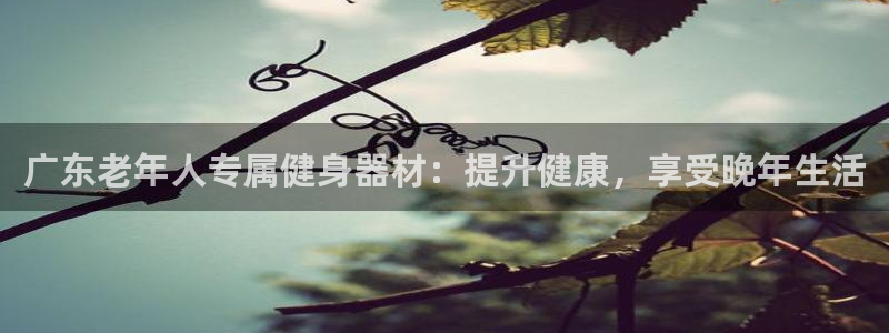 意昂体育3招商电话：广东老年人专属健身器材：提升健康