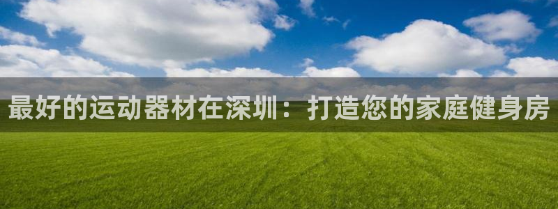 意昂3娱乐网站：最好的运动器材在深圳：打造您的家庭健