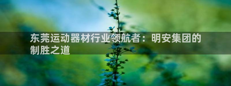 意昂体育3是干嘛的公司：东莞运动器材行业领航者：明安