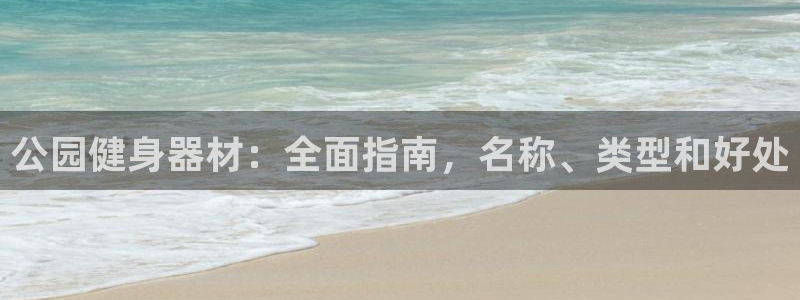 意昂3娱乐首页网站大全：公园健身器材：全面指南，名称