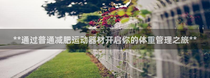 意昂3新能源：**通过普通减肥运动器材开启你的体重管