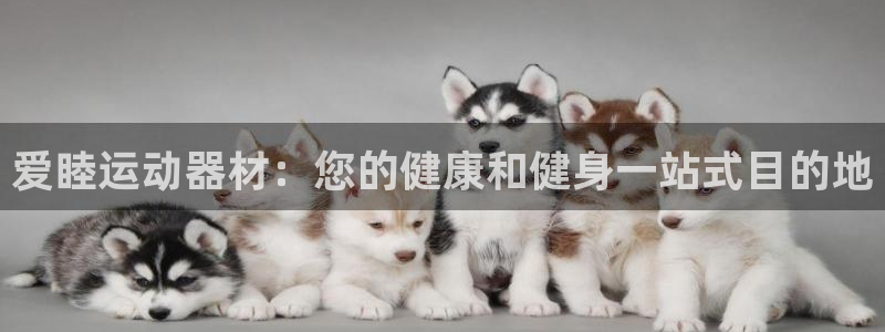 意昂平台体育：爱睦运动器材：您的健康和健身一站式目的地