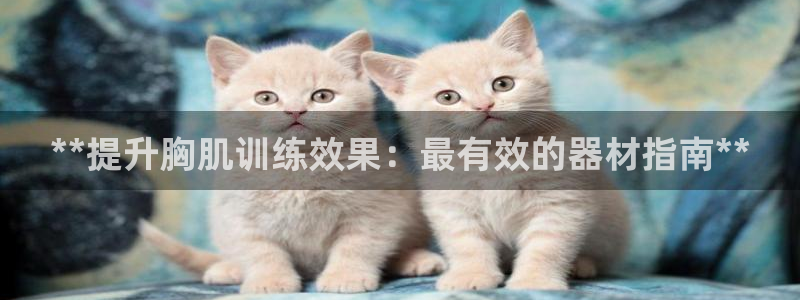 意昂体育3招商电话号码查询：**提升胸肌训练效果：最