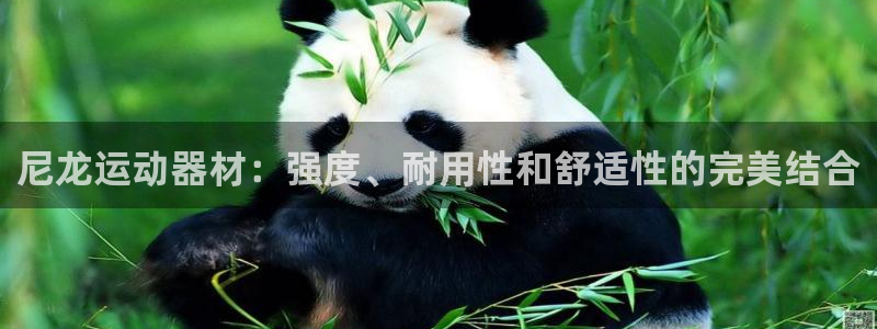 意昂体育3招商电话是多少：尼龙运动器材：强度、耐用性