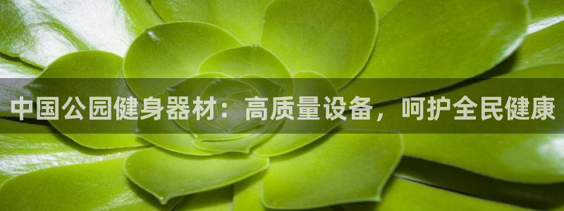 意昂体育3招商：中国公园健身器材：高质量设备，呵护全民健康